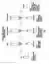 Fig. 02 - Methods of nucleic acid fractionation and detection