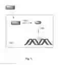 Fig. 02 - Modified nucleic acid binding cyanine dyes for the detection of reactive oxygen species