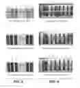 Fig. 09 - METHODS FOR REDUCING BLUE SACCHARIDE