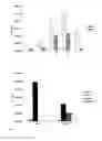 Fig. 02 - Method of determining phenoxy herbicides in water samples by phase transfer microextraction with simultaneous derivatization and gas-chromatography mass-spectrometry analysis