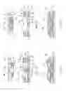 Fig. 05 - ELECTRICAL CONNECTOR