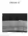 Fig. 45 - Conformable Microporous Fiber and Woven Fabrics Containing Same