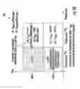 Fig. 16 - Methods and apparatus for adaptive receiver diversity in a wireless network