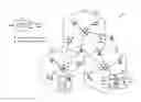 Fig. 01 - Femtocell message delivery and network planning