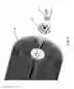 Fig. 06 - Torsional coupling for a mobile attachment device