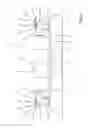 Fig. 04 - AMUSEMENT DEVICE FOR DYNAMIC SIMULATION, IN PARTICULAR FOR USE IN AMUSEMENT PARKS OR THE LIKE