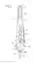 Fig. 03 - Golf ball teeing tongs