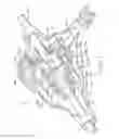 Fig. 02 - LOCKING DIFFERENTIAL
