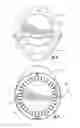 Fig. 07 - DECORATIVE AND SAFETY ASSEMBLY FOR DRESSING A TRAMPOLINE
