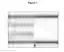 Fig. 02 - METHODS AND MATERIALS FOR ASSESSING LOSS OF HETEROZYGOSITY