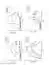Fig. 03 - Lectins and uses thereof