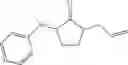 Fig. 31 - Ring constrained analogs as arginase inhibitors