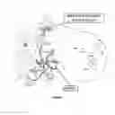 Fig. 02 - BENZOXABOROLE COMPOUNDS AND USES THEREOF