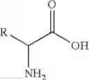 Fig. 08 - BENZOXABOROLE COMPOUNDS AND USES THEREOF
