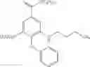 Fig. 197 - Bumetanide analogs, compositions and methods of use