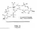 Fig. 04 - METAL COORDINATED COMPOSITIONS