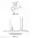 Fig. 08 - METAL COORDINATED COMPOSITIONS