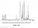 Fig. 12 - METAL COORDINATED COMPOSITIONS