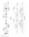 Fig. 09 - Compositions and methods related to protein displacement therapy for myotonic distrophy