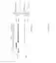 Fig. 11 - Compositions and methods related to protein displacement therapy for myotonic distrophy