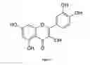 Fig. 02 - Composition Having Antiviral Activity against Flavivirus