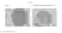 Fig. 06 - Methods and compositions for treating arteriosclerotic vascular diseases