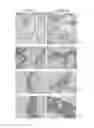 Fig. 09 - Methods and compositions for treating arteriosclerotic vascular diseases
