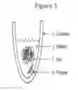 Fig. 02 - Methods for extracting keratin proteins