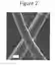 Fig. 03 - Methods for extracting keratin proteins