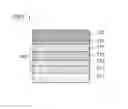 Fig. 02 - Dibenzo[f,h]quinoxaline derivative, method of synthesizing the same, light-emitting element, light-emitting device, electronic appliance, and lighting device