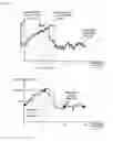 Fig. 06 - BLOOD PRESSURE ESTIMATION APPARATUS AND METHOD