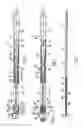 Fig. 02 - Guide wire for use with a catheter