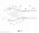 Fig. 08 - Medical devices and systems for manipulating foreign bodies and methods of using the same