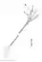 Fig. 18 - Selectively bendable remote gripping tool