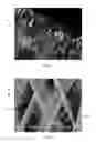 Fig. 02 - Coated medical devices and methods of making and using same