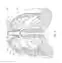 Fig. 09 - Devices and methods for stenting an airway
