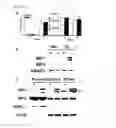 Fig. 07 - PHARMACEUTICAL COMPOSITION FOR VIRAL TREATMENT, AND METHOD FOR SCREENING ANTIVIRAL AGENT