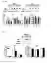 Fig. 10 - PHARMACEUTICAL COMPOSITION FOR VIRAL TREATMENT, AND METHOD FOR SCREENING ANTIVIRAL AGENT