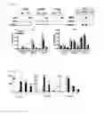 Fig. 11 - PHARMACEUTICAL COMPOSITION FOR VIRAL TREATMENT, AND METHOD FOR SCREENING ANTIVIRAL AGENT