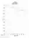 Fig. 34 - COMPOSITIONS AND KITS FOR CUSTOM COLORATION, DEVICE DISPENSING THE SAME AND METHODS THEREOF