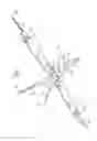 Fig. 02 - Pocket field tool