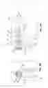 Fig. 09 - Compact strapping head