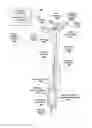 Fig. 01 - MARKING APPARATUS FOR RECEIVING ENVIRONMENTAL INFORMATION REGARDING UNDERGROUND FACILITY MARKING OPERATIONS, AND ASSOCIATED METHODS AND SYSTEMS