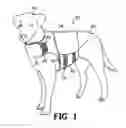 Fig. 02 - PRESSURE-APPLYING GARMENT FOR ANIMALS