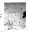 Fig. 09 - SOLIDIFICATION MICROSTRUCTURE OF AGGREGATE MOLDED SHAPED CASTINGS