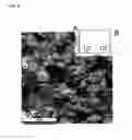 Fig. 09 - MAGNESIUM ALLOY, MAGNESIUM ALLOY MEMBER AND METHOD FOR MANUFACTURING SAME, AND METHOD FOR USING MAGNESIUM ALLOY