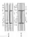 Fig. 09 - Combined wiring board and method for manufacturing the same