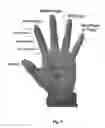 Fig. 06 - System and Method for Recognition and Response to Gesture Based Input