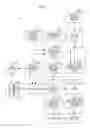 Fig. 02 - Continuous image capturing based on detection of a specific state