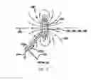 Fig. 07 - Induction device